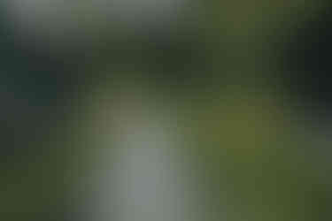 Hochzeit feiern in Künkele Mühle Bad Urach Hochzeitslocation