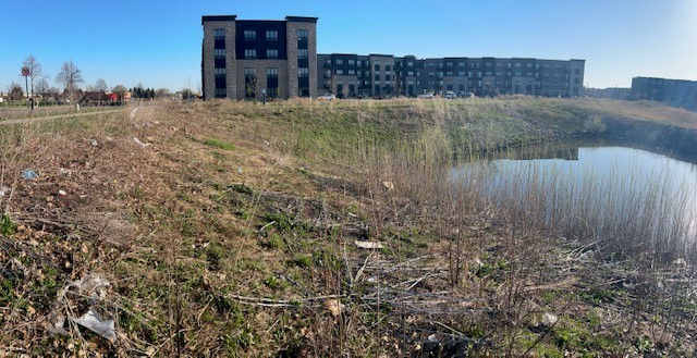 Galaxie Ave Pond Cleanup