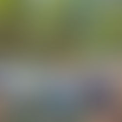 DAY 2 I 鞋子主題週