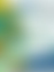 AVI 2026 English Summer Camp