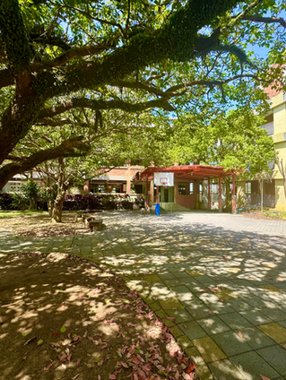 🌿 孩子學習與成長的最佳環境!