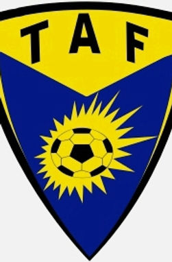 TAF logo_2.jpg