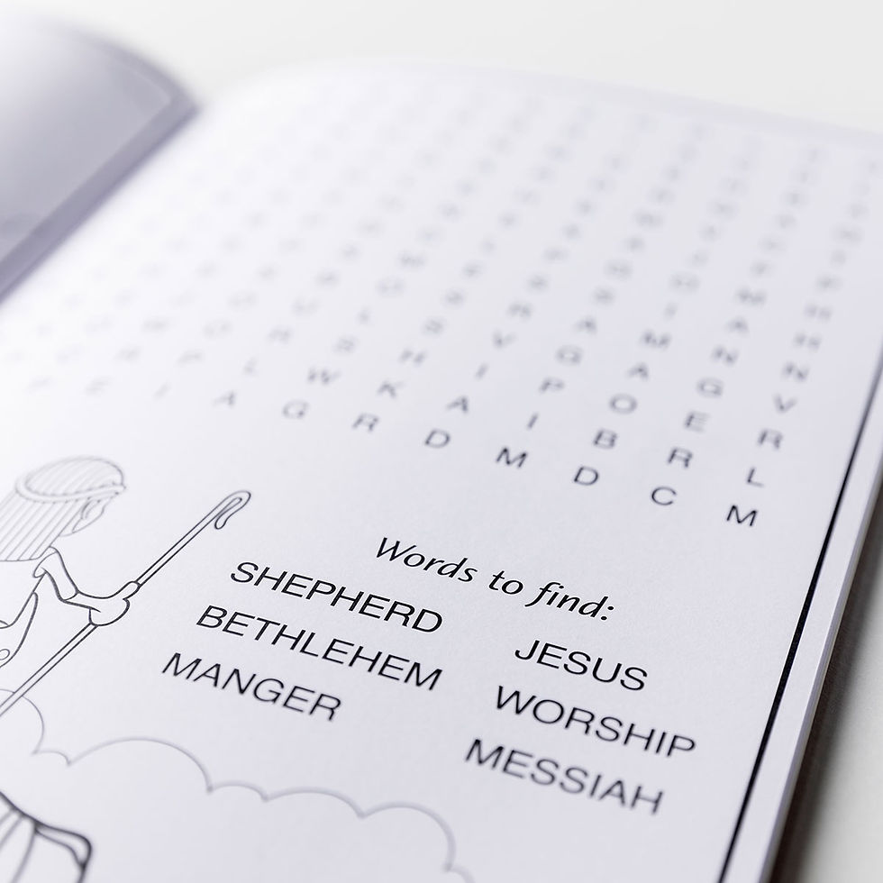 Thumbnail: The Shepherd On The Search - Children's Activity Book