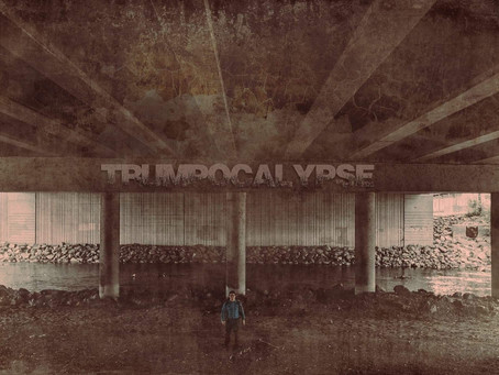 Trumpocalypse Nominated for a CFVA Award
