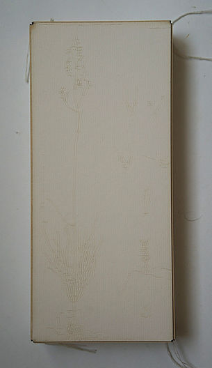 lasergravure op wit passe-partout karton
21,5x9,5x3cm
€90