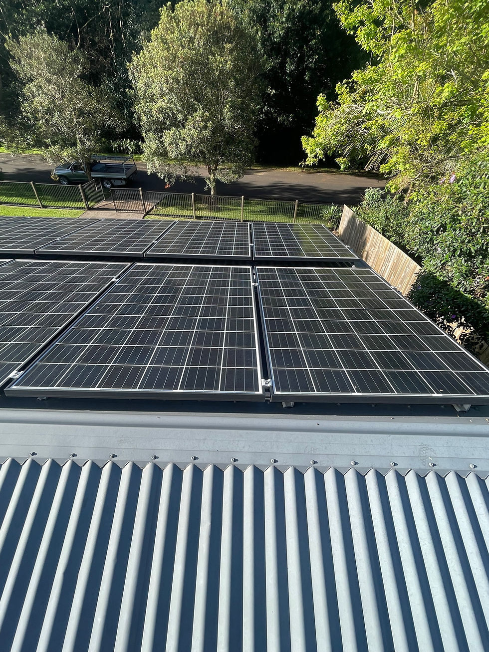 Solar panel cleaning service