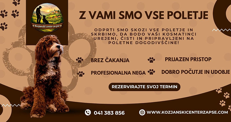 z vami smo vso poletje.jpg
