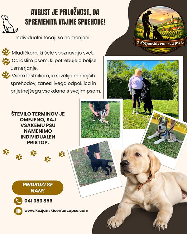 Avgust je priložnost, da spremenita vajine sprehode..jpg
