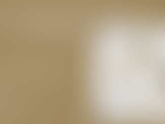 Sarlyn: Crafting Classic Engagement Rings for Couples