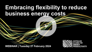 Recording: Embracing flexibility to reduce business energy costs