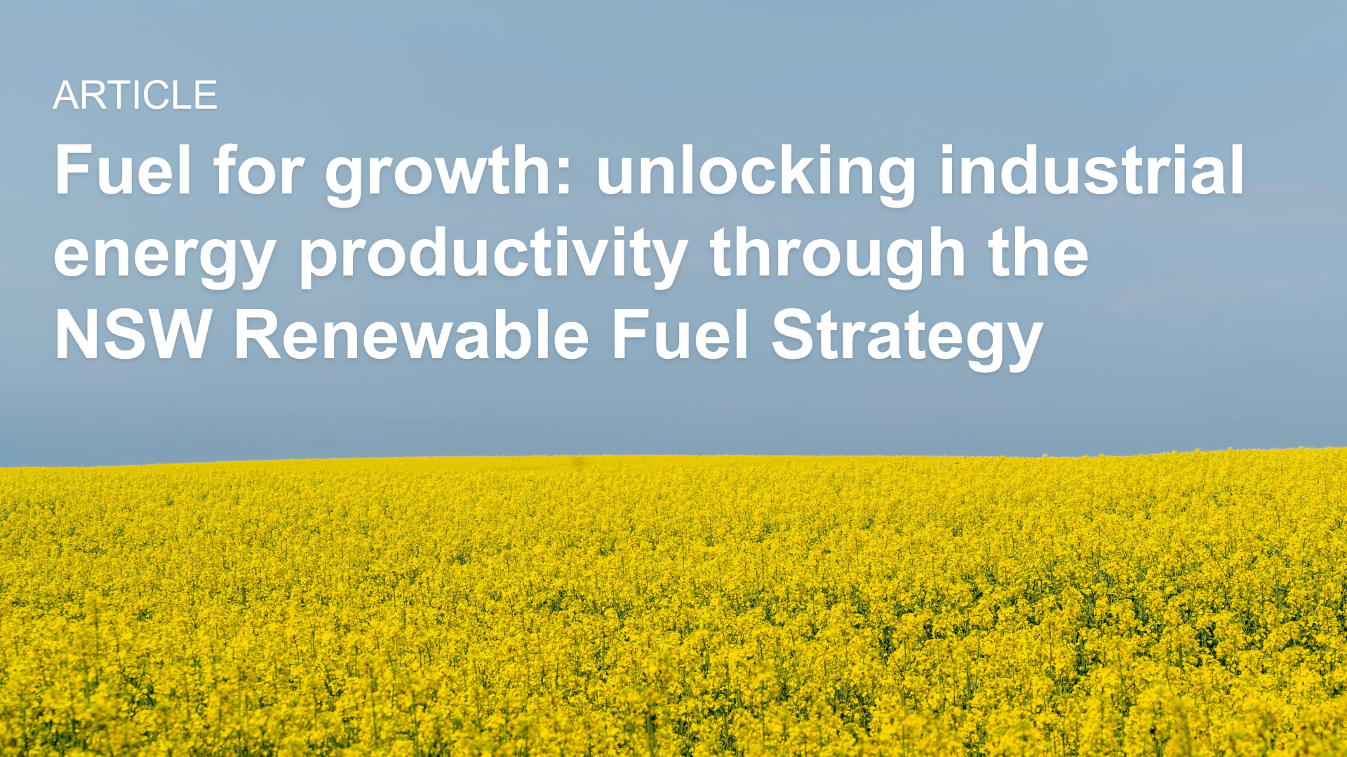 Insight Fuel INSIGHT: Fuel for growth - unlocking industrial productivity through ...
