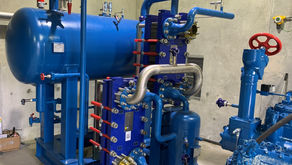 Alliance Group meat processing facility
