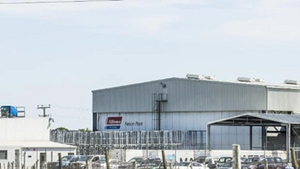 Alliance Group Nelson plant