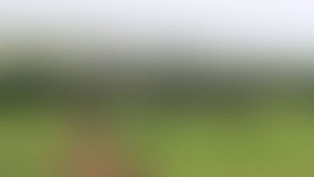 On-farm energy pilot projects in NSW given the green light