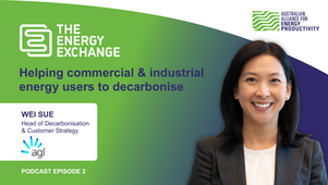 Listen to Episode 2 of our Energy Exchange podcast featuring Wei Sue from AGL