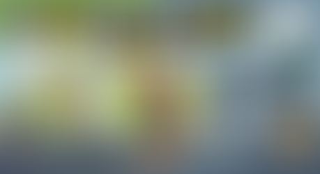 "You Don't Have to Be an Athlete to Train Like One"