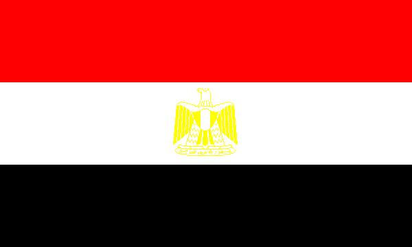 EGYPT Representative