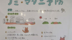 ノミダニ予防について