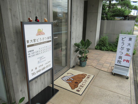 病院入り口のマットに当院のロゴが入りました(*^o^*)