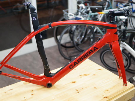 CARRERA PHIBRA-NEXT フレーム販売