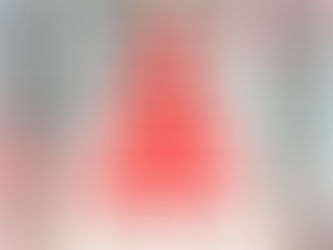 Buone feste dalla Solme Olmo!