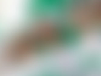 Sc Padovani al via del Giro della Provincia di Biella