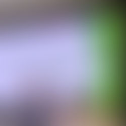 本所侯雪芬律師及柳慧謙律師受邀交通部高速公路局進行專案教育訓練