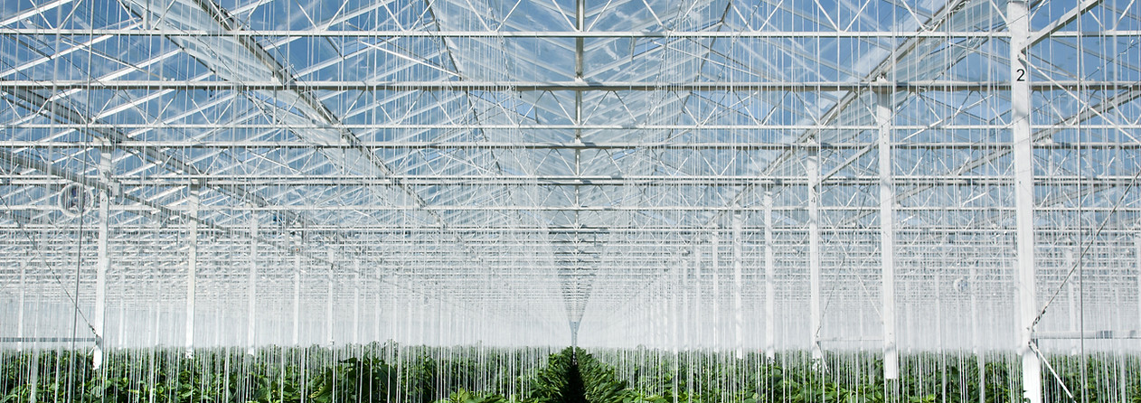 Greenhouse