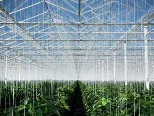 Greenhouse