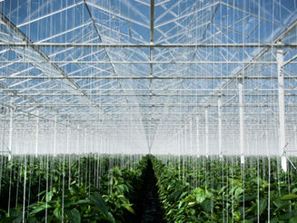 New Standard: ISO14064‑1:2019, Greenhouse gases Part 1: Specification with guidance at the .......