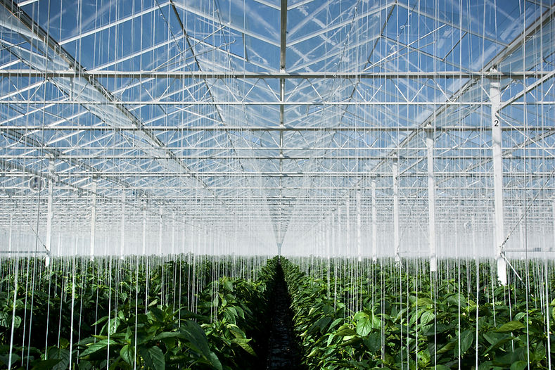 Greenhouse