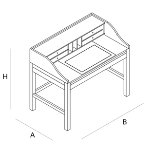 Détails techniques MERINI