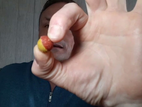 Instant vissen deel 2