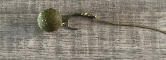 Haak boilie onderlijntje rig