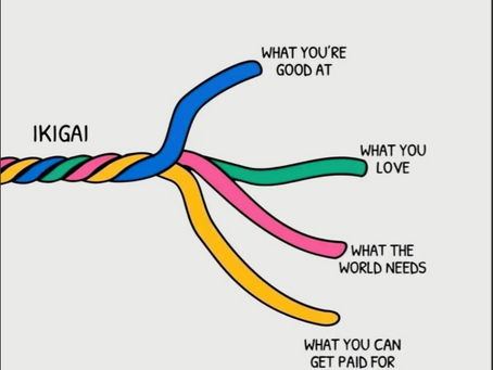 What Is Ikigai — and How It Led Us to Create GRACE