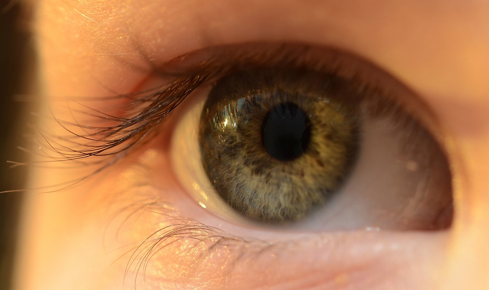 contact lenses in eye