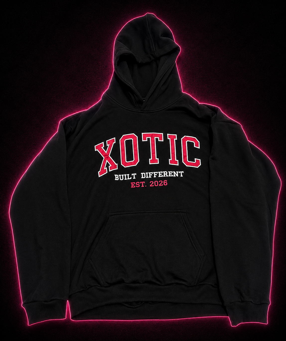 varsity embroidered hoodie
