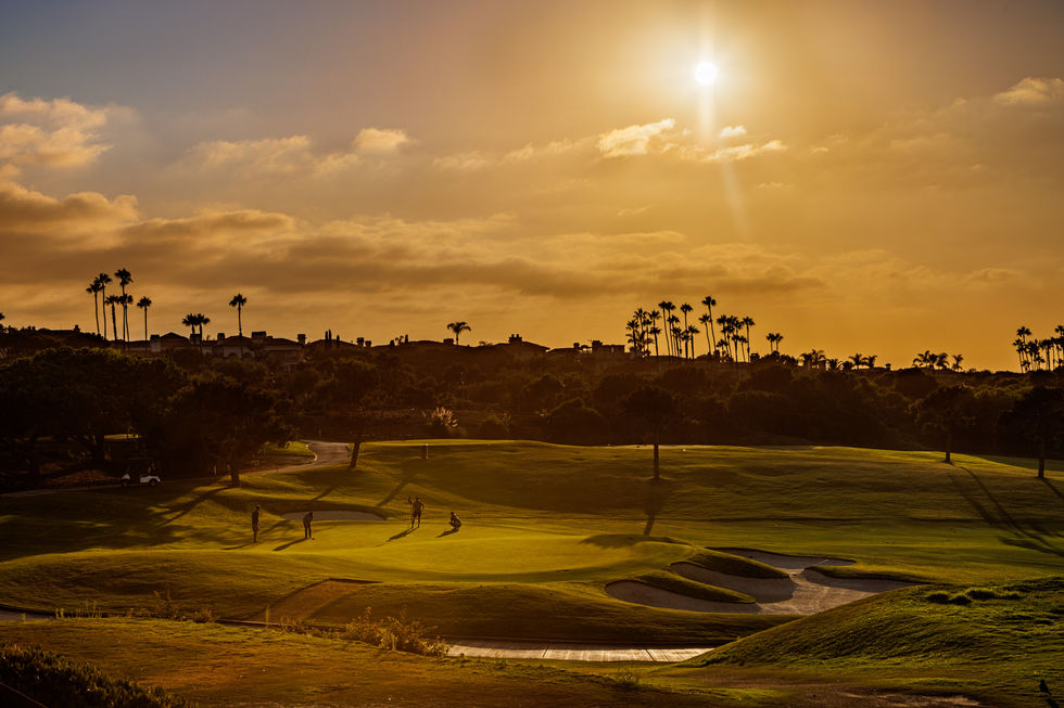 the sun shines brightly over a golf course