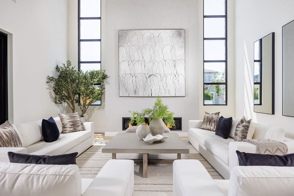 symmetrical photography architectural detail of white modern living room