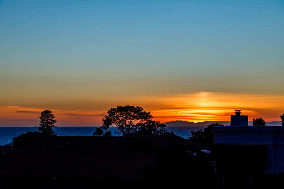 a sunset over the ocean with a tree in the foreground