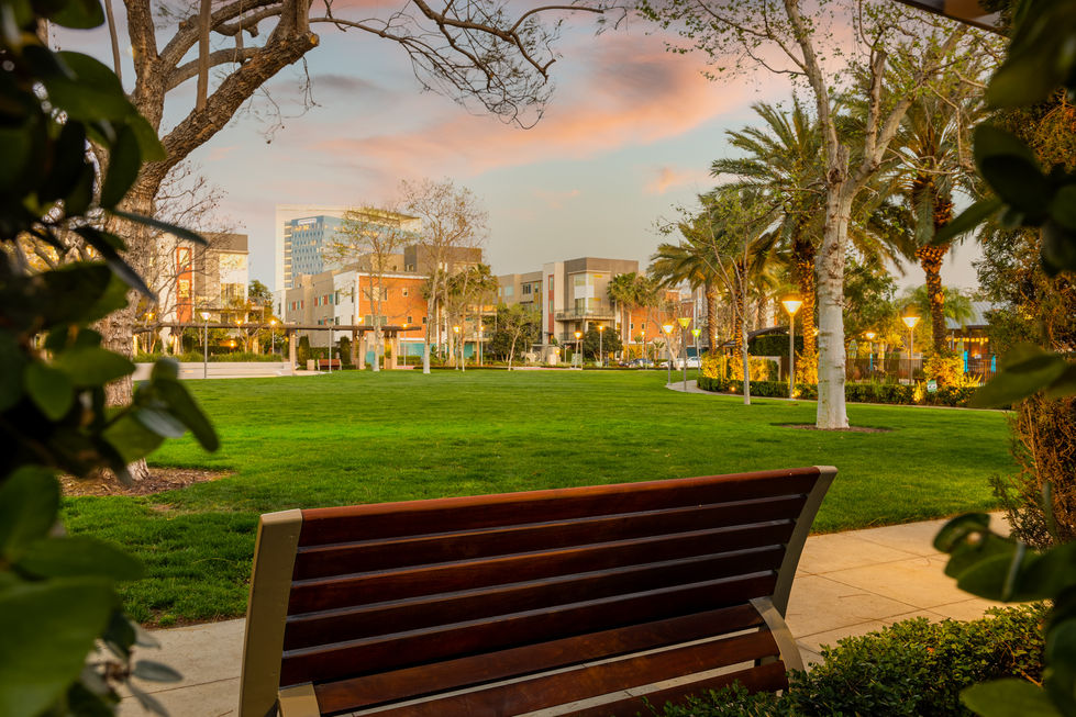 a wooden bench in a park with palm trees and buildings in the background