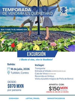 PĂłster Agencia de viajes Senderismo Sencillo Blanco y Verde (25).png