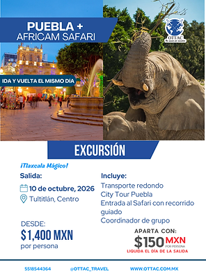 Póster Agencia de viajes Senderismo Sencillo Blanco y Verde (27).png