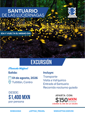 PĂłster Agencia de viajes Senderismo Sencillo Blanco y Verde (26).png