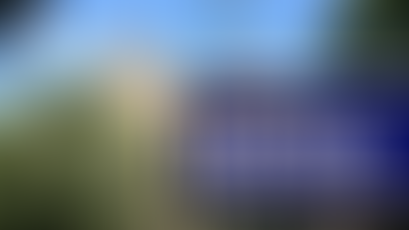 News Sheet 12th January 2025