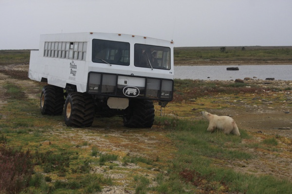Circumpolar North: Last Chance Polar Tourism content media