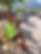 IMG_3385.jpeg