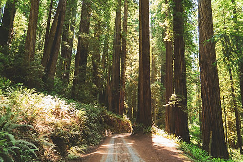 dan-meyers-FtXCKGIWiqM-unsplash.jpg