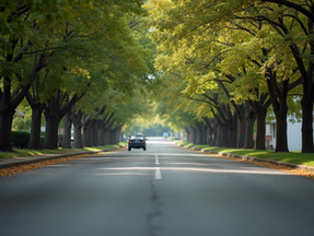 Exploring the Camp Hill Neighbourhood Lifestyle