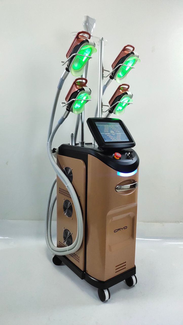 Thumbnail: Cryolipolise model 2021